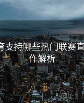 开云体育支持哪些热门联赛直播？-操作解析