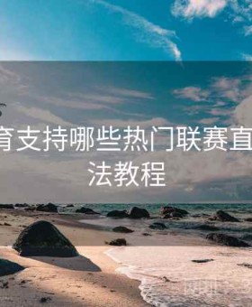 开云体育支持哪些热门联赛直播？-玩法教程