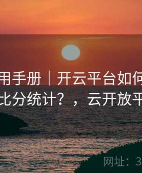 页面使用手册｜开云平台如何查看详细比分统计？，云开放平台