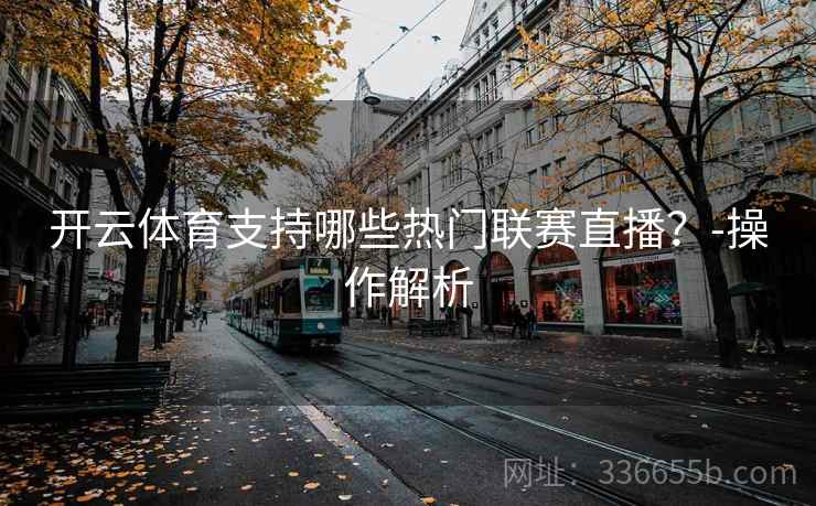 开云体育支持哪些热门联赛直播？-操作解析