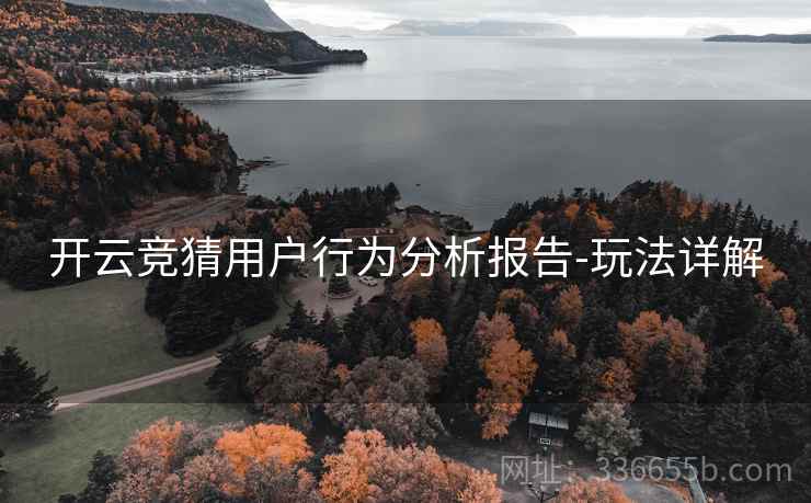 开云竞猜用户行为分析报告-玩法详解